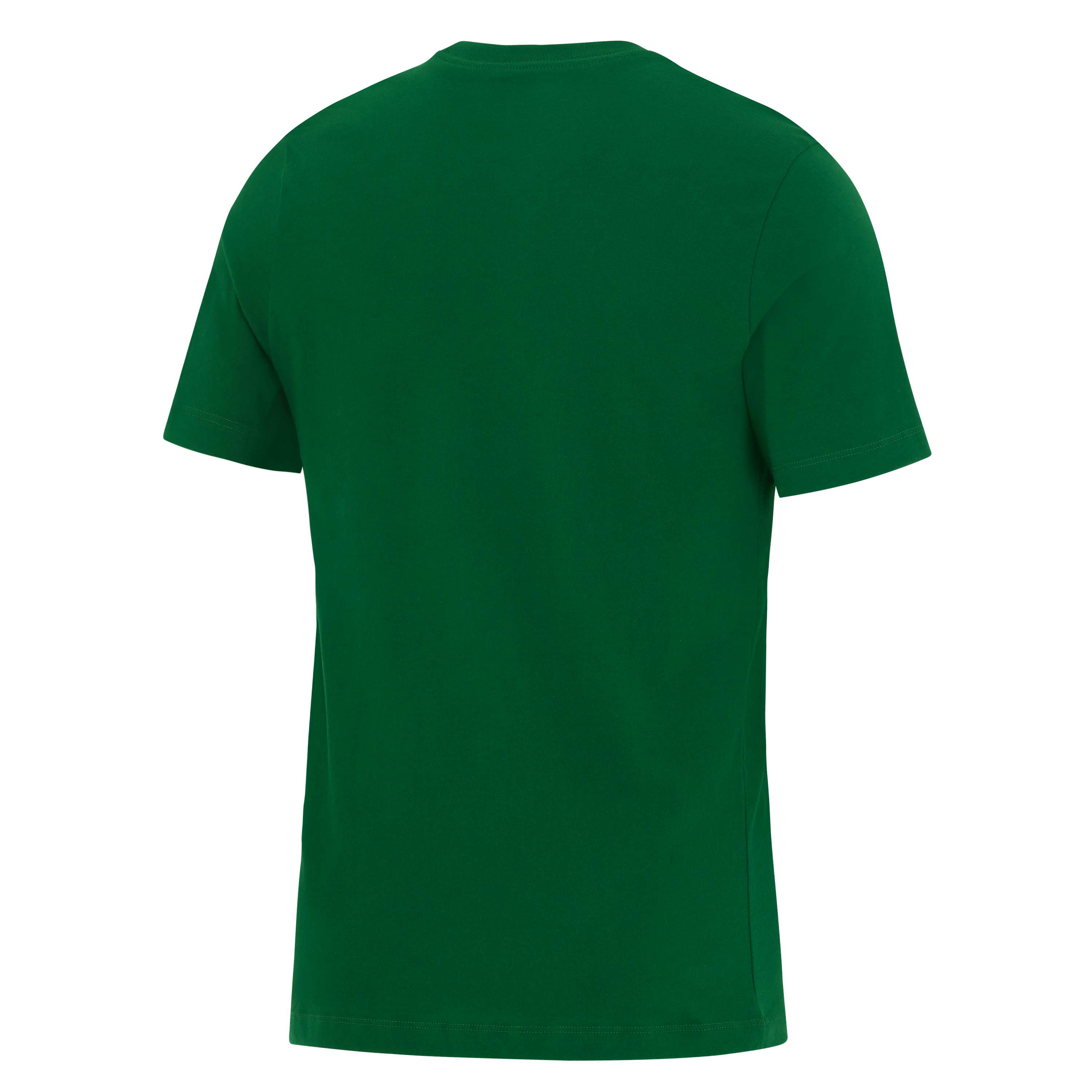 Springboks Nike Mens Rugby's Greatest Rivalry Tour Tee Gorge Green