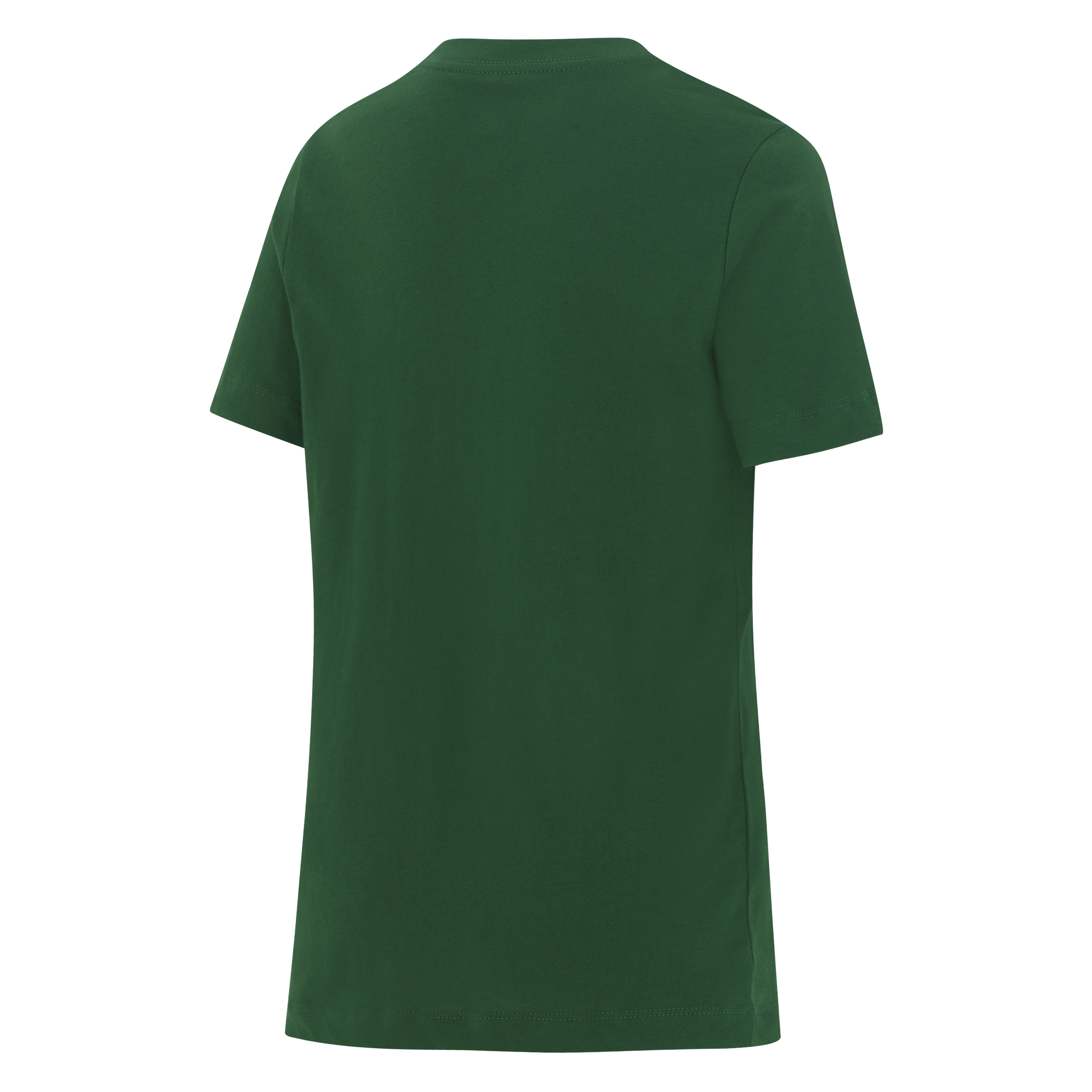 Springboks Nike Youth Rugby's Greatest Rivalry Tour Tee Gorge Green