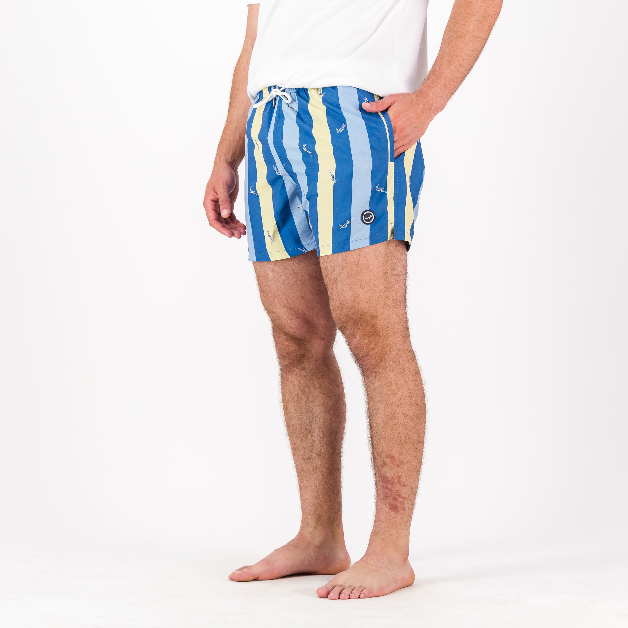 Springboks Candy Stripe SB Print Swim Shorts-Skyway