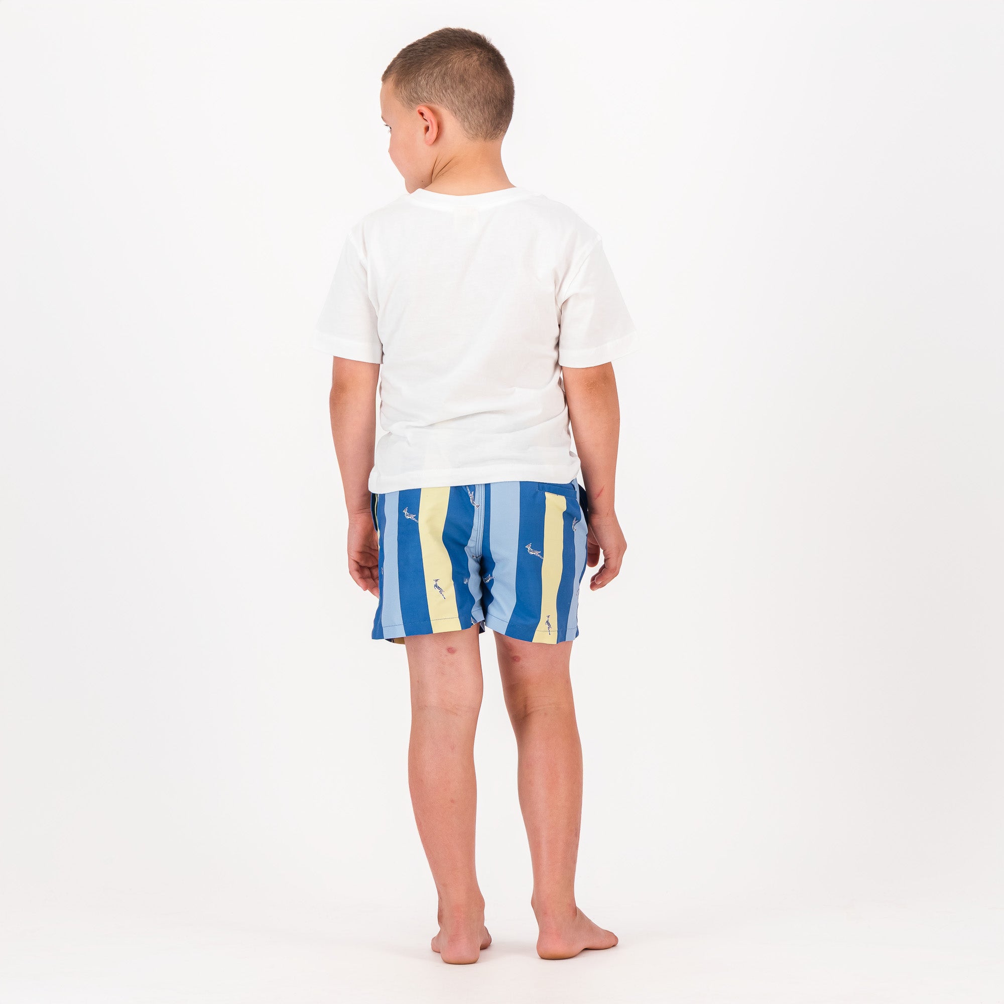 Springboks Stripe Print Kids Swim Shorts-Skyway