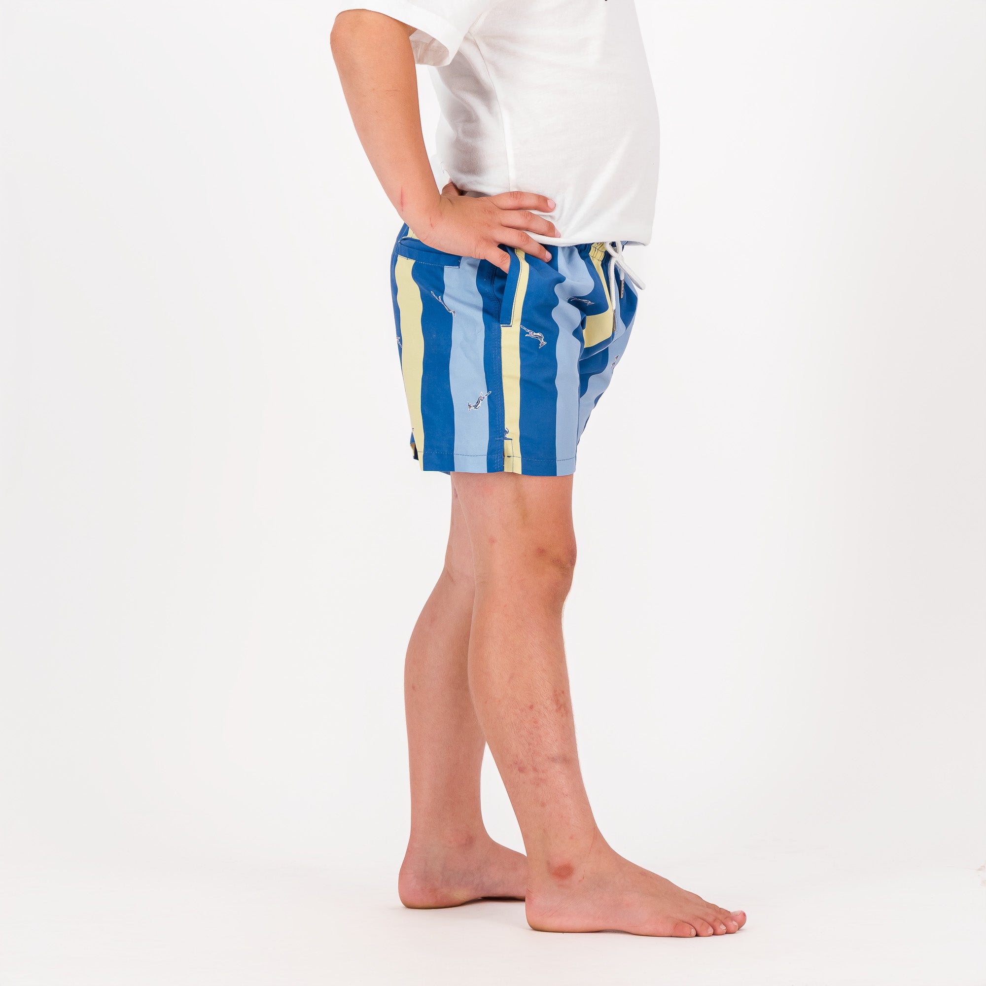 Springboks Stripe Print Kids Swim Shorts-Skyway