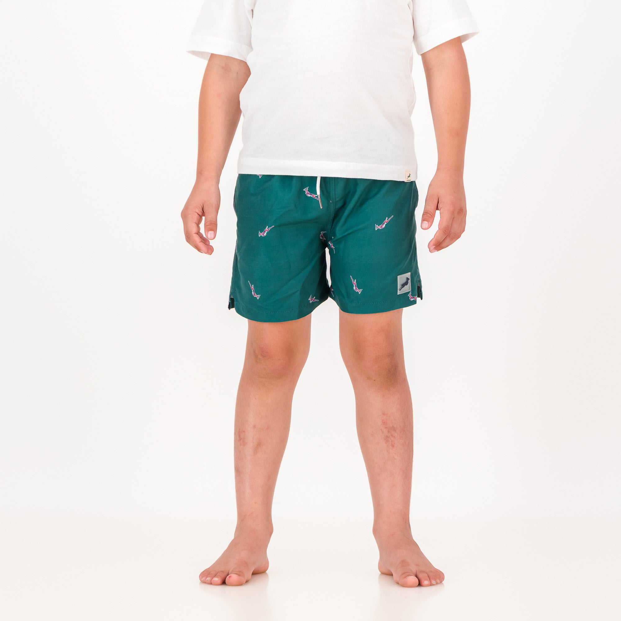 Springboks Summer Pop Print Kids Swim Shorts-Teal