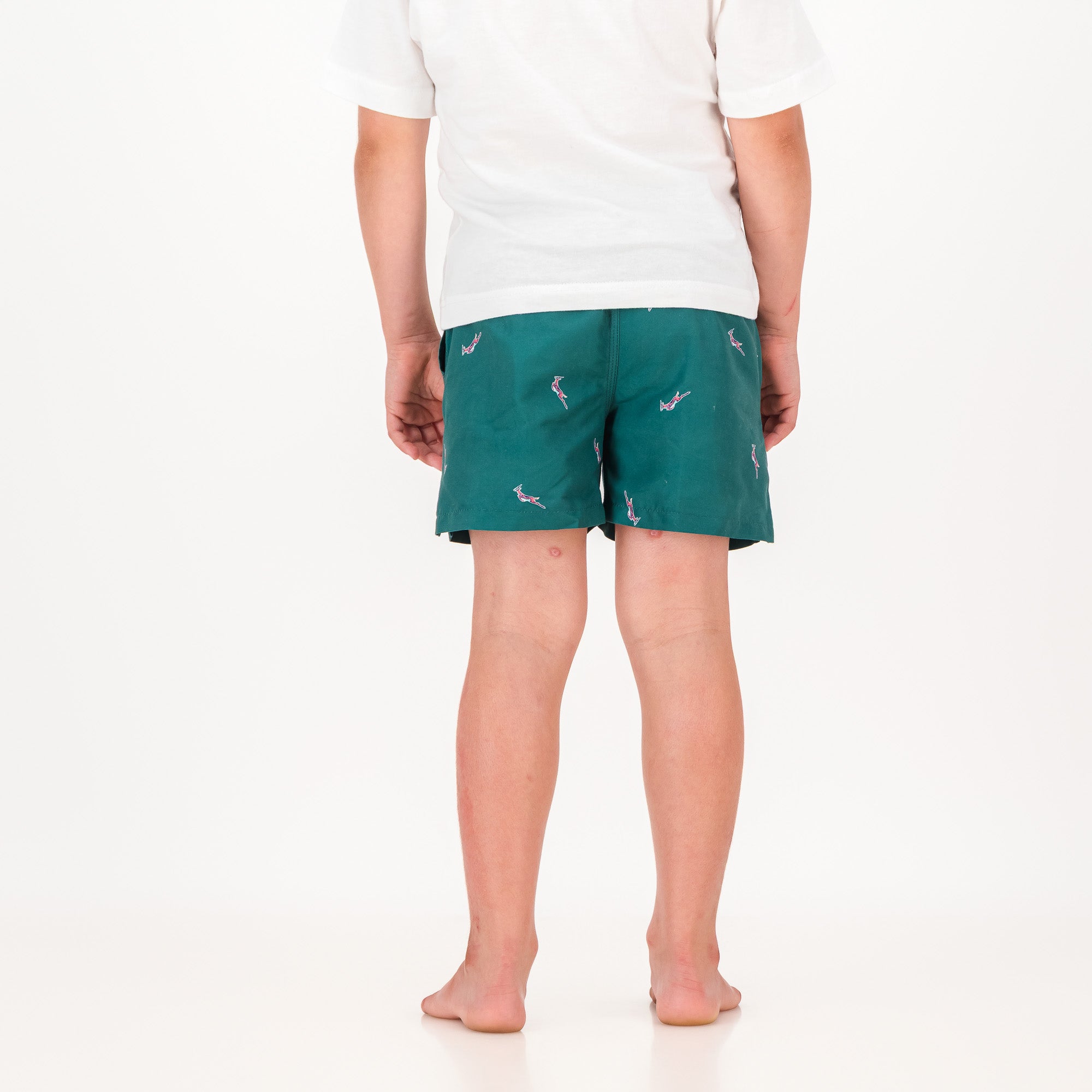 Springboks Summer Pop Print Kids Swim Shorts-Teal