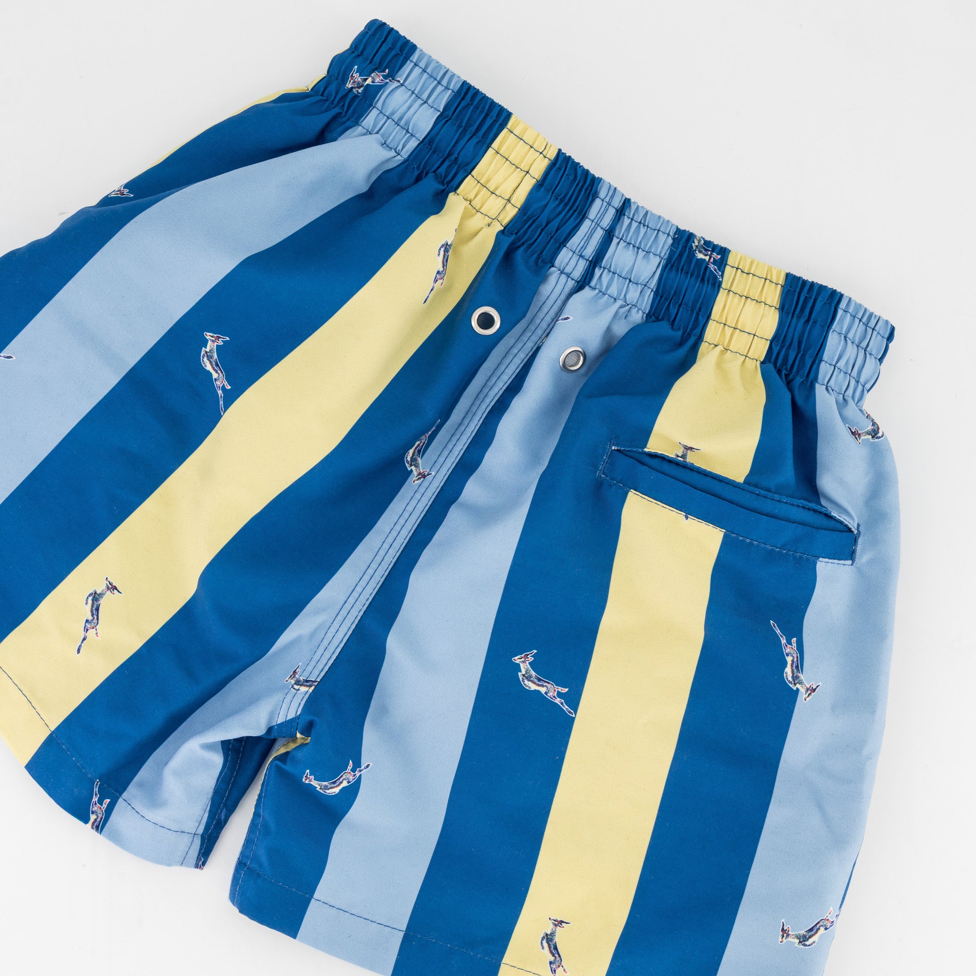 Springboks Stripe Print Kids Swim Shorts-Skyway