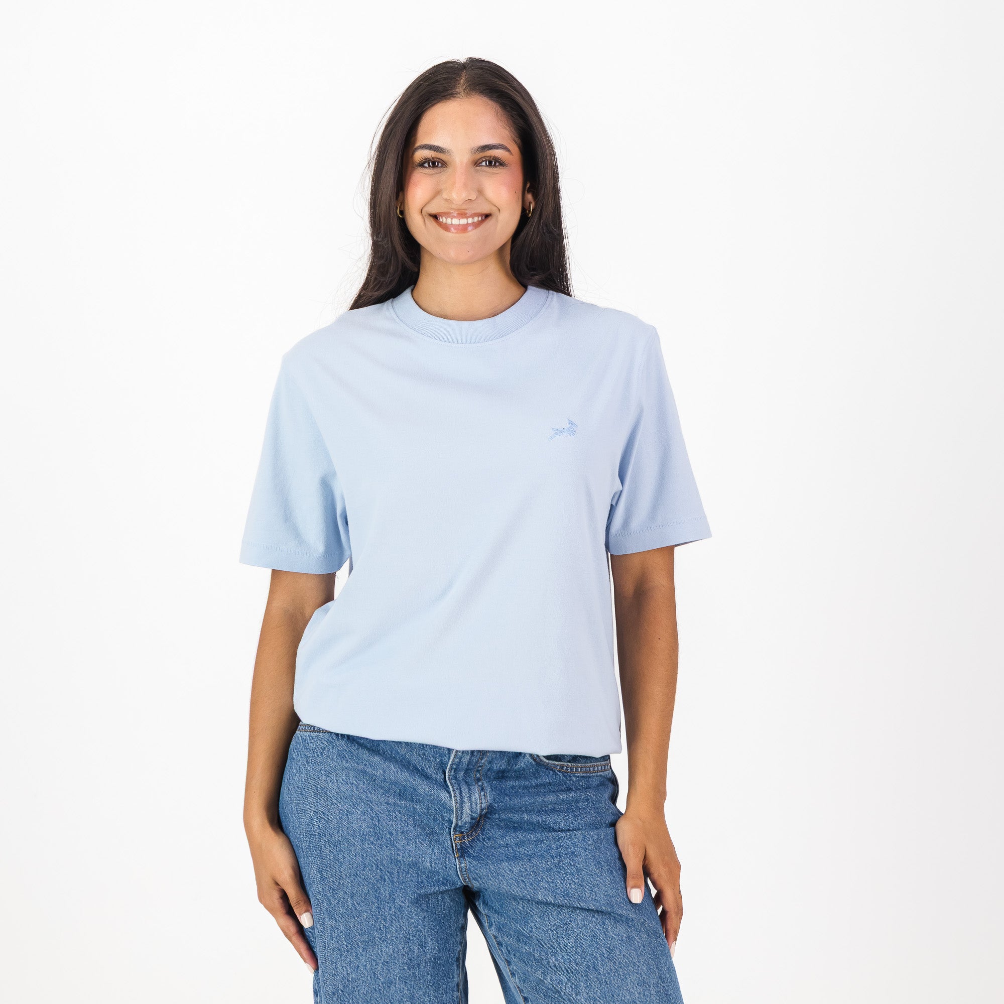 Springboks Tonal SML EMB Bok Crew Tee-Skyway