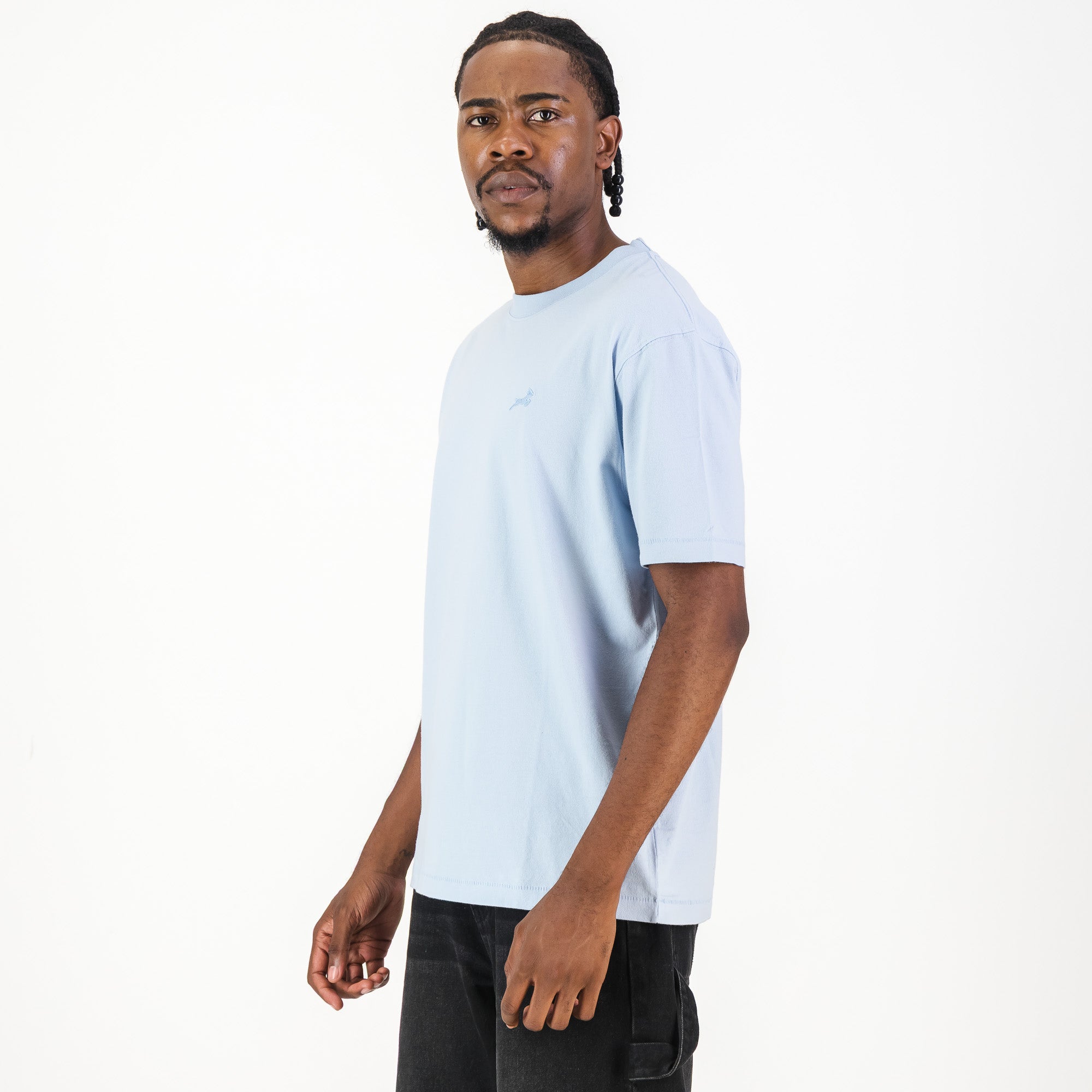 Springboks Tonal SML EMB Bok Crew Tee-Skyway