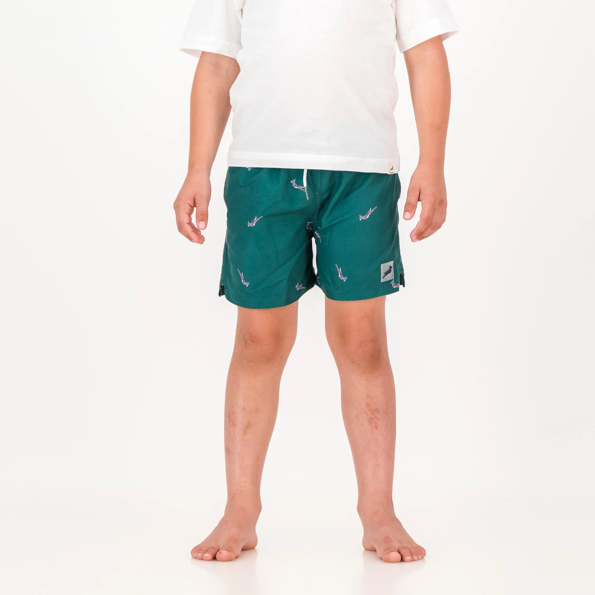 Springboks Summer Pop Print Kids Swim Shorts-Teal