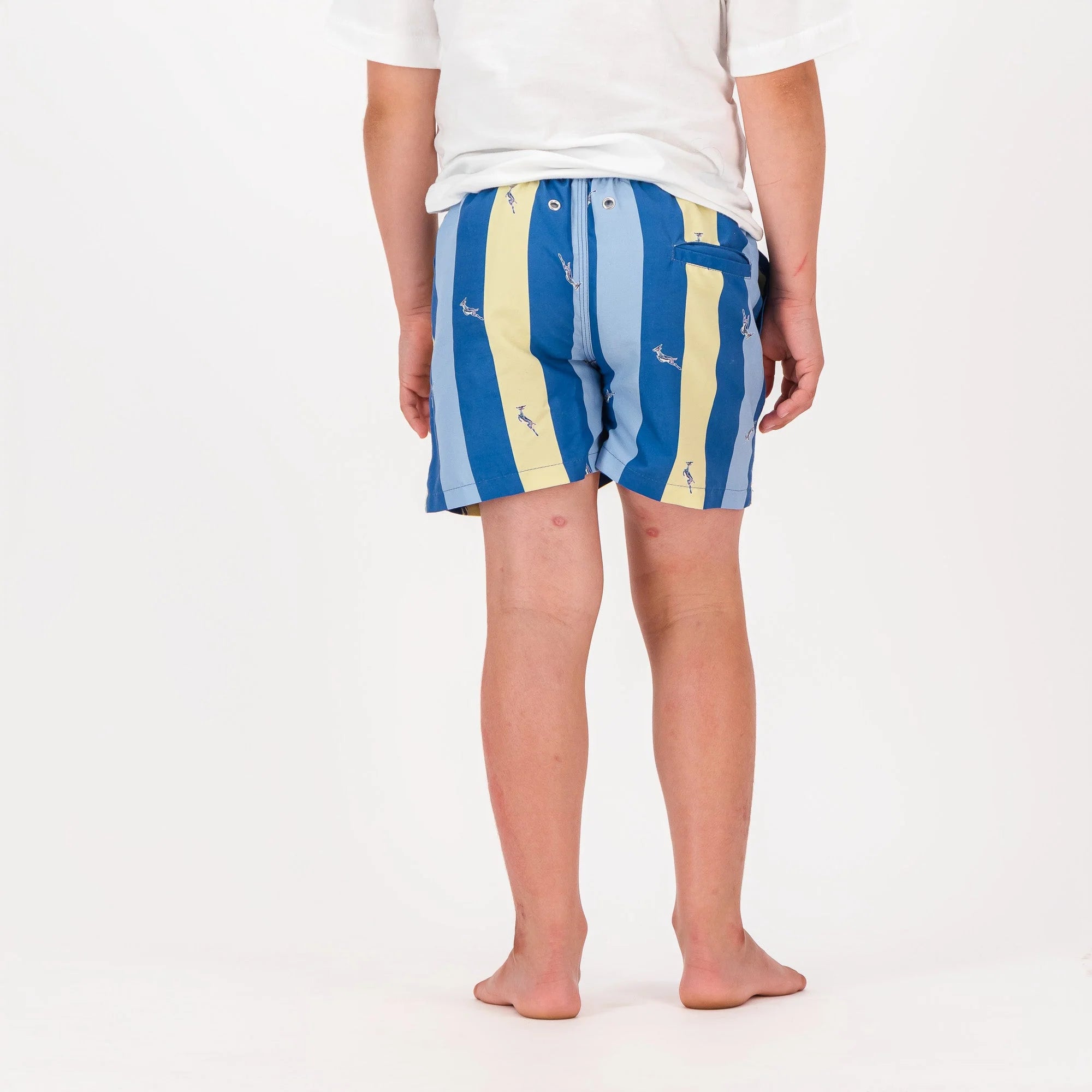 Springboks Stripe Print Kids Swim Shorts-Skyway
