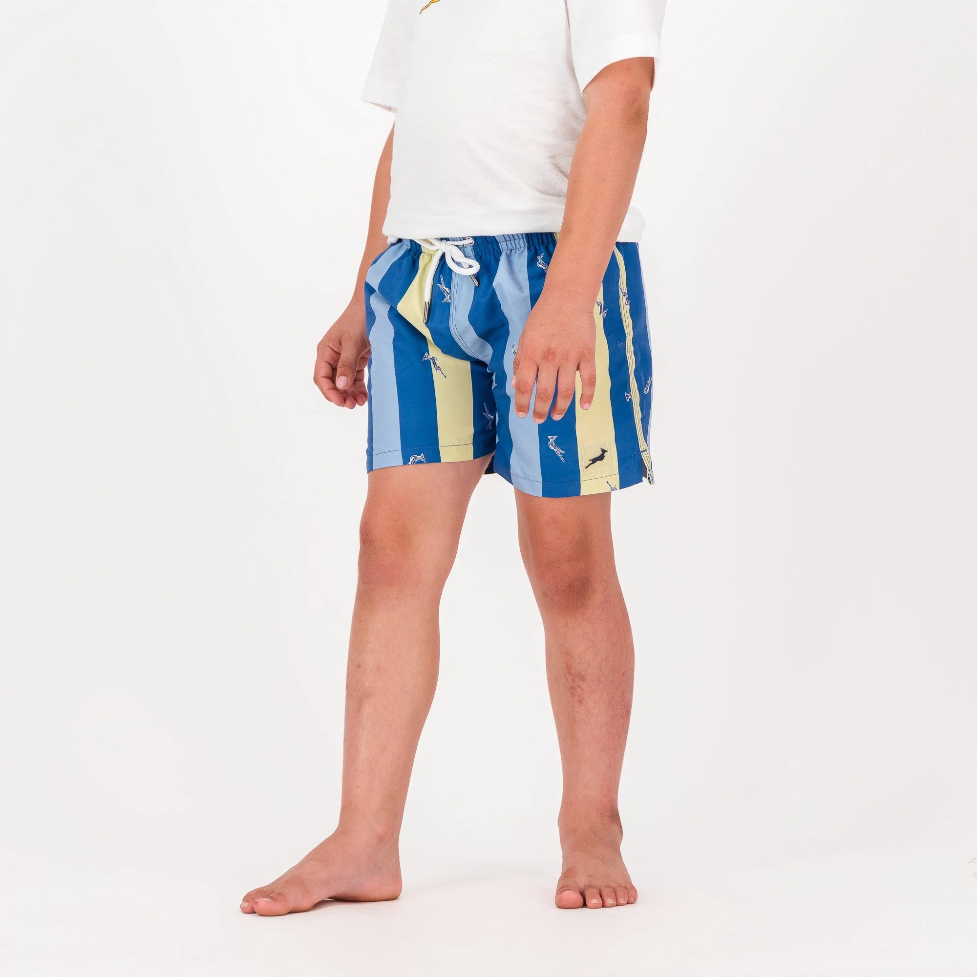 Springboks Stripe Print Kids Swim Shorts-Skyway