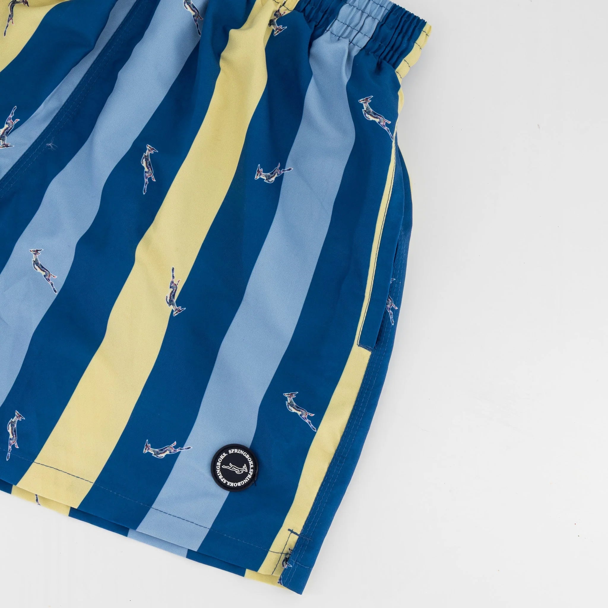 Springboks Candy Stripe SB Print Swim Shorts-Skyway