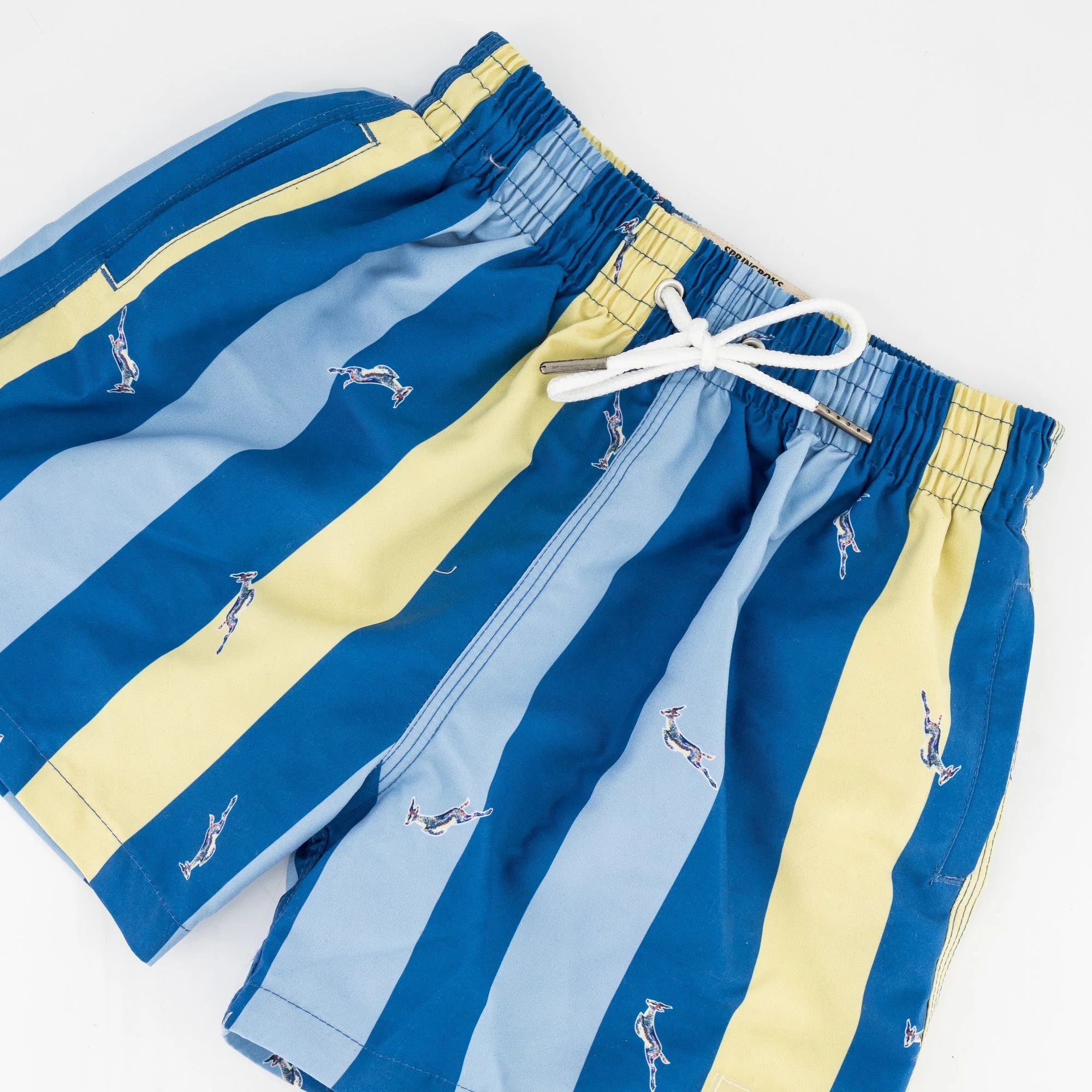 Springboks Stripe Print Kids Swim Shorts-Skyway