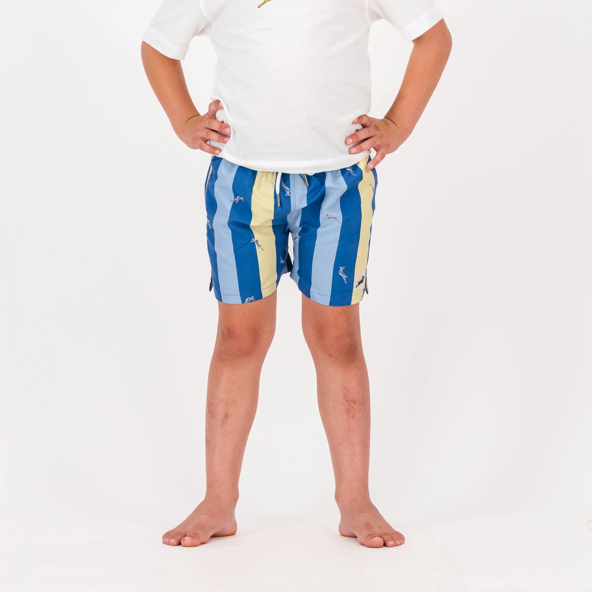 Springboks Stripe Print Kids Swim Shorts-Skyway