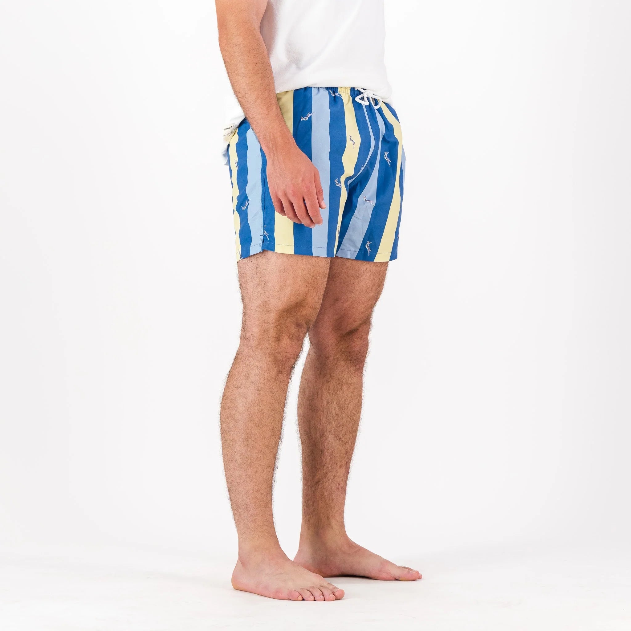 Springboks Candy Stripe SB Print Swim Shorts-Skyway