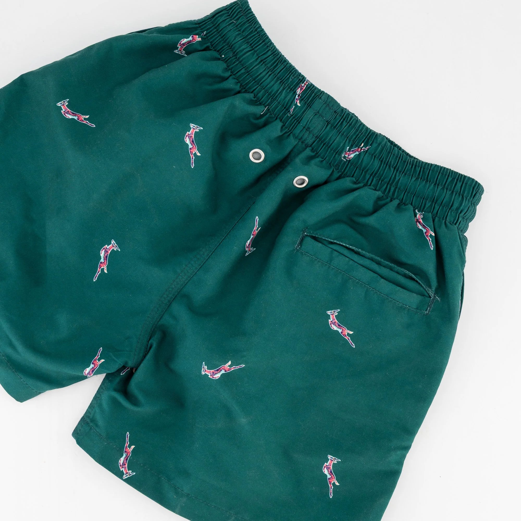 Springboks Summer Pop Print Kids Swim Shorts-Teal