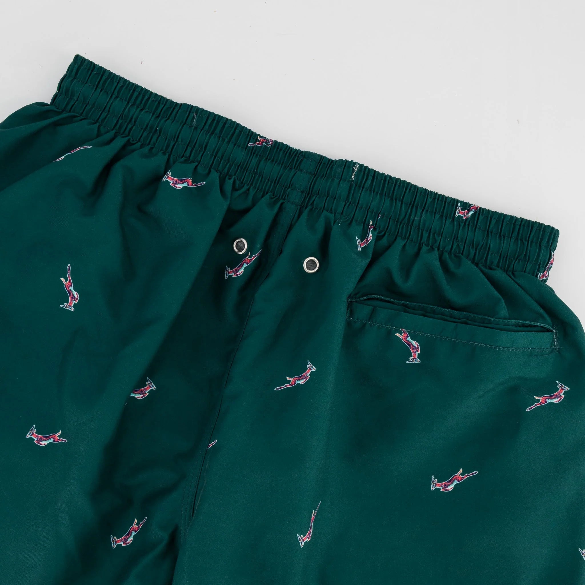 Springboks Summer Pop Print Swim Shorts-Teal