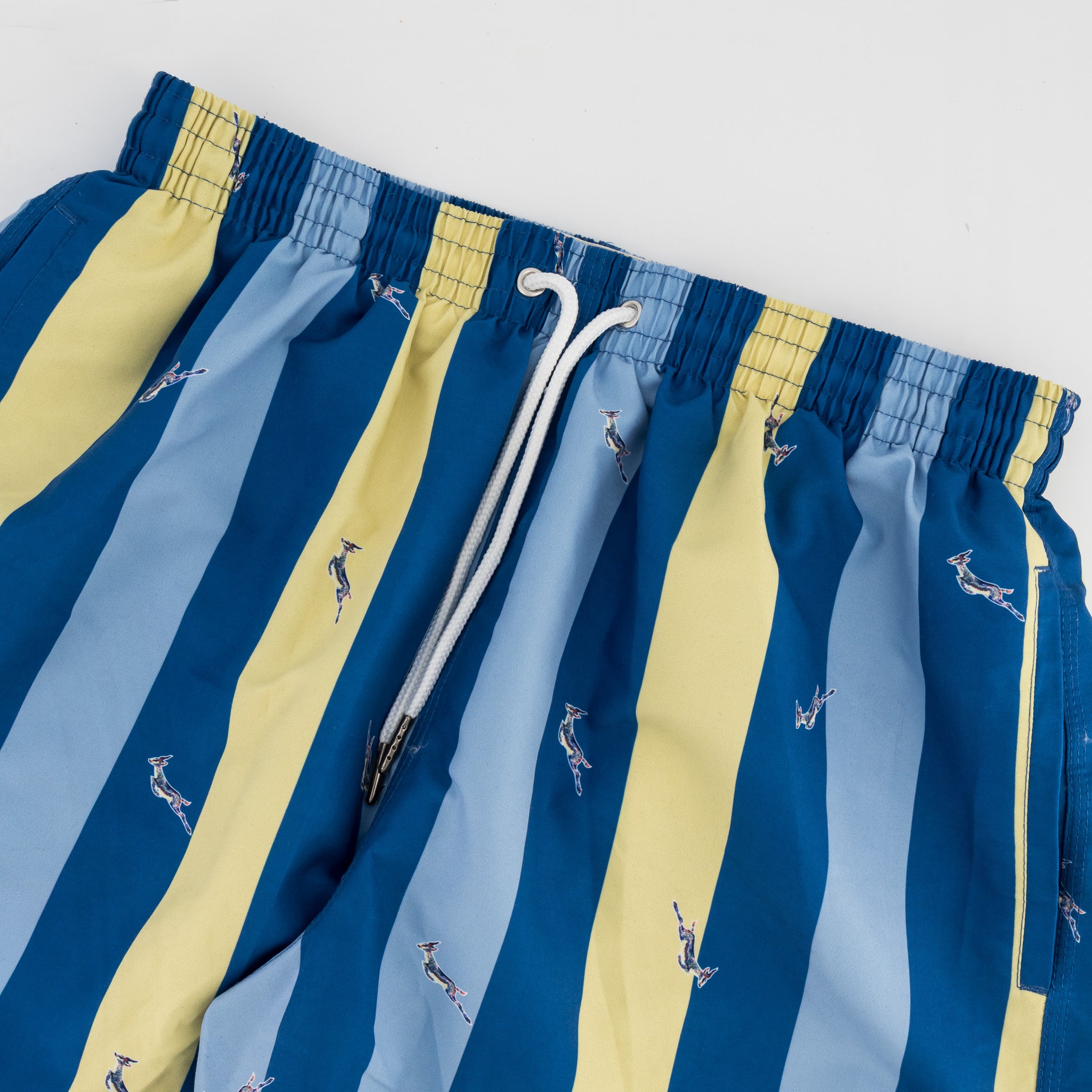 Springboks Candy Stripe SB Print Swim Shorts-Skyway