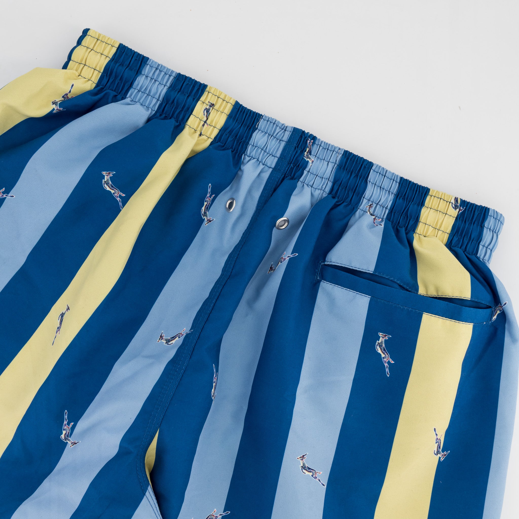 Springboks Candy Stripe SB Print Swim Shorts-Skyway