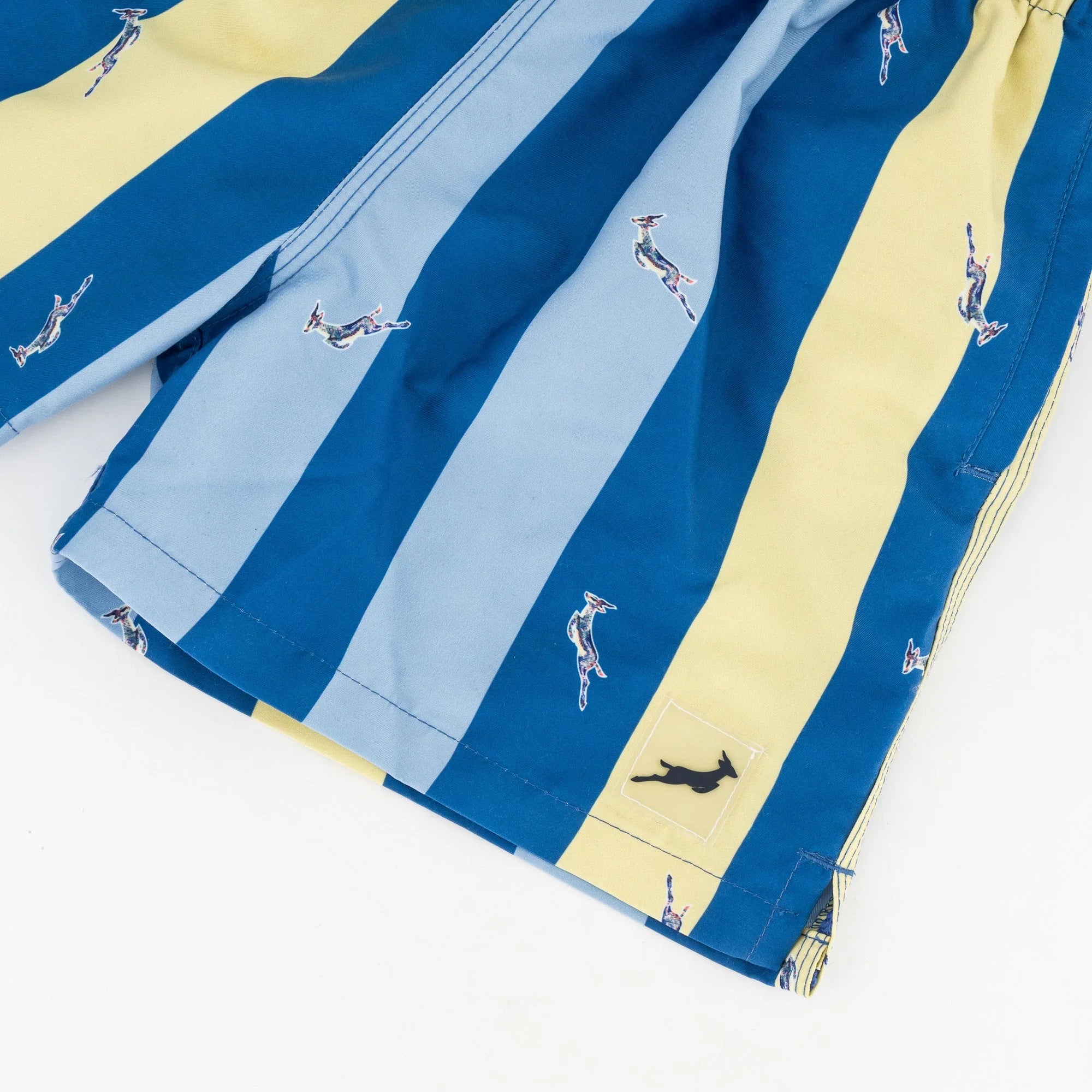 Springboks Stripe Print Kids Swim Shorts-Skyway