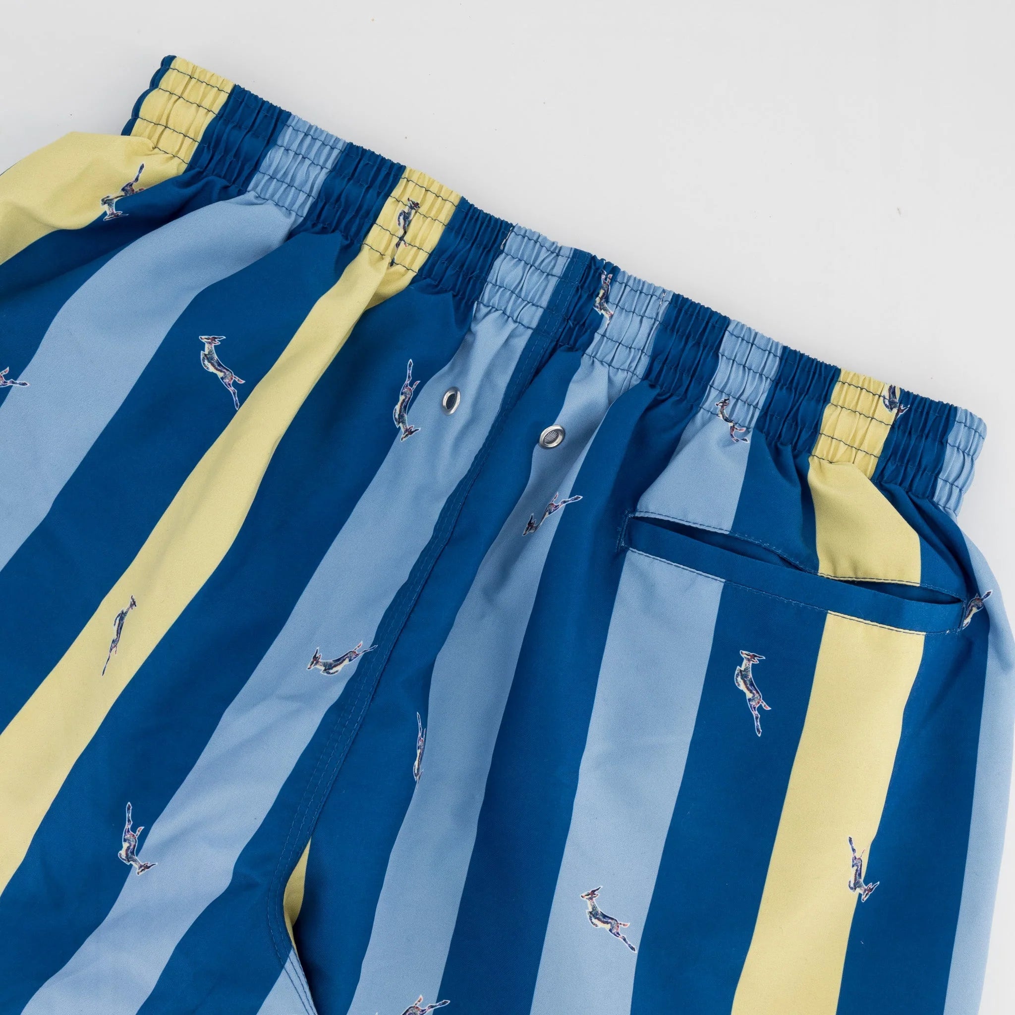 Springboks Candy Stripe SB Print Swim Shorts-Skyway