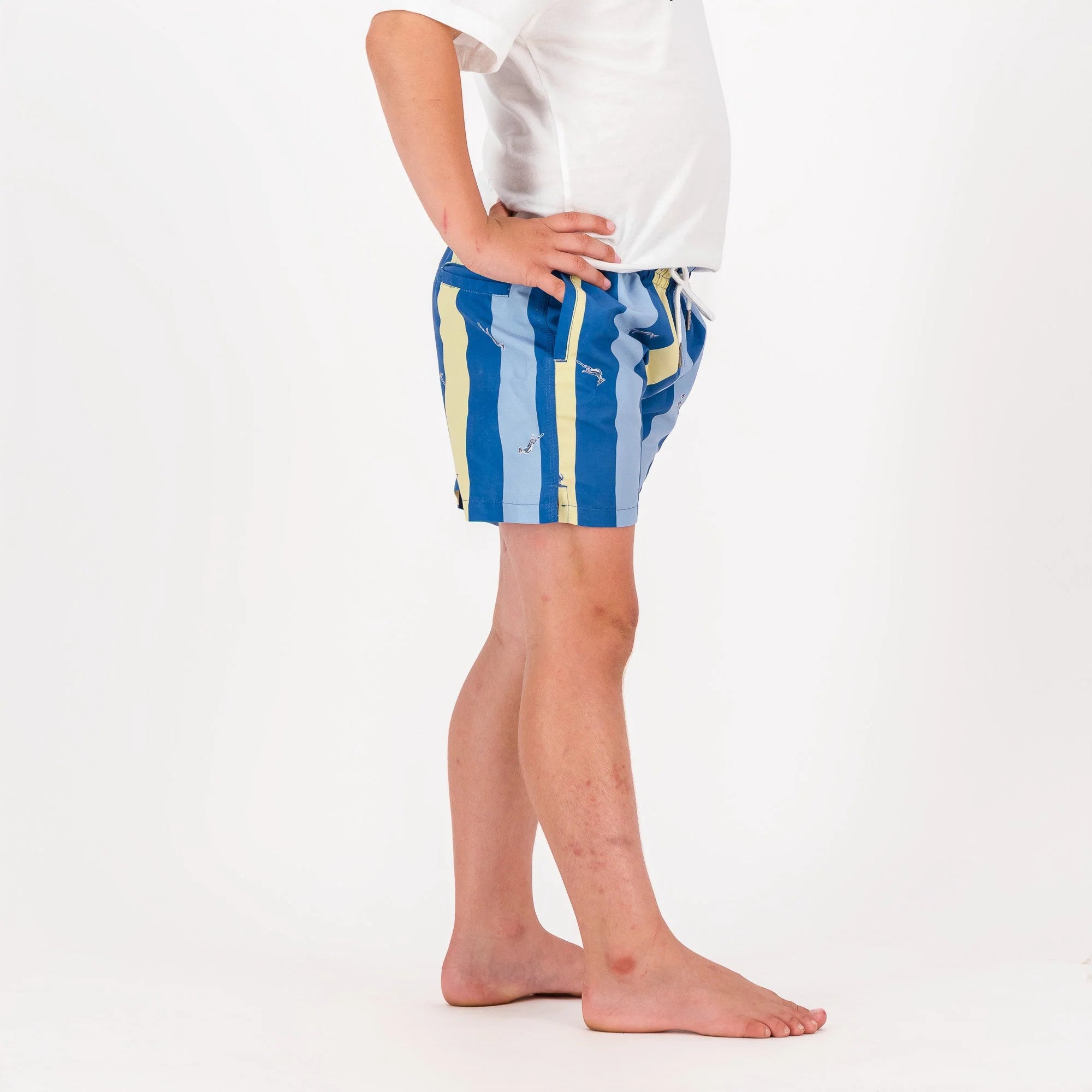 Springboks Stripe Print Kids Swim Shorts-Skyway