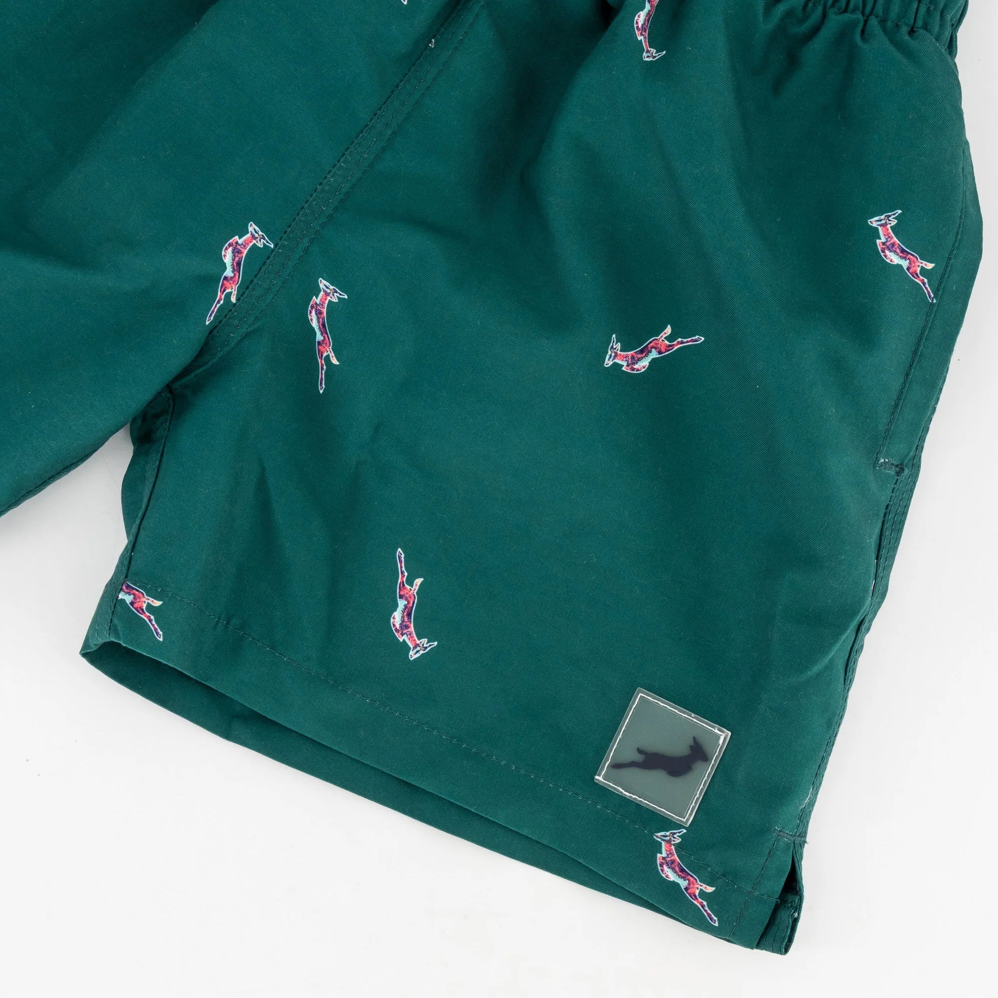 Springboks Summer Pop Print Kids Swim Shorts-Teal
