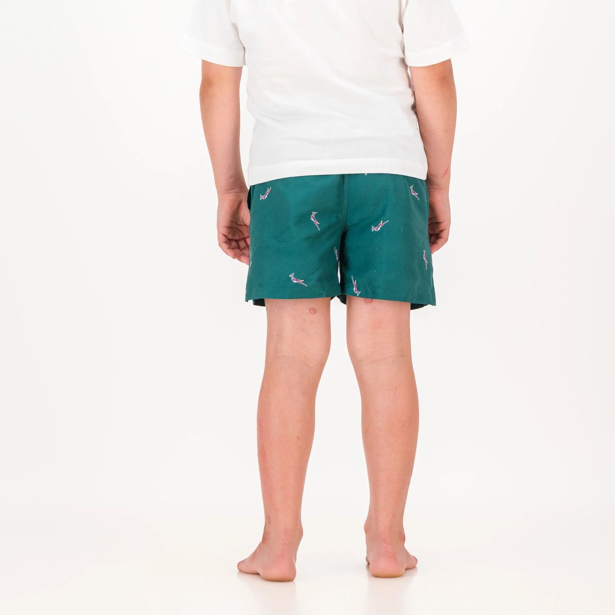 Springboks Summer Pop Print Kids Swim Shorts-Teal