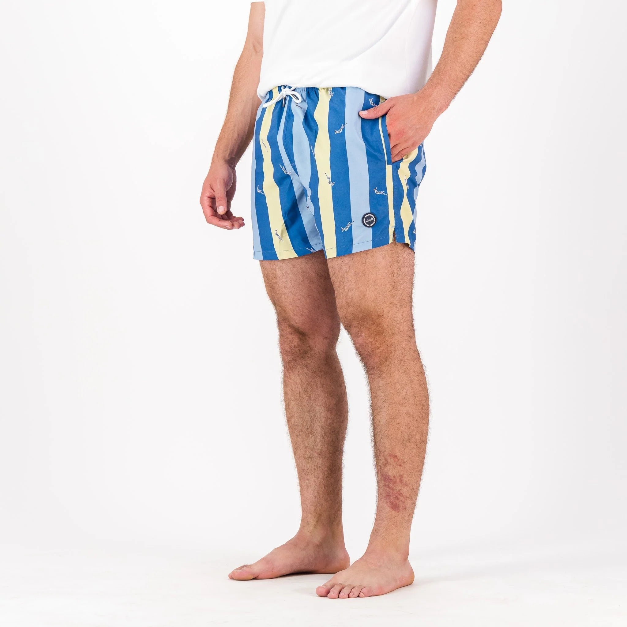 Springboks Candy Stripe SB Print Swim Shorts-Skyway