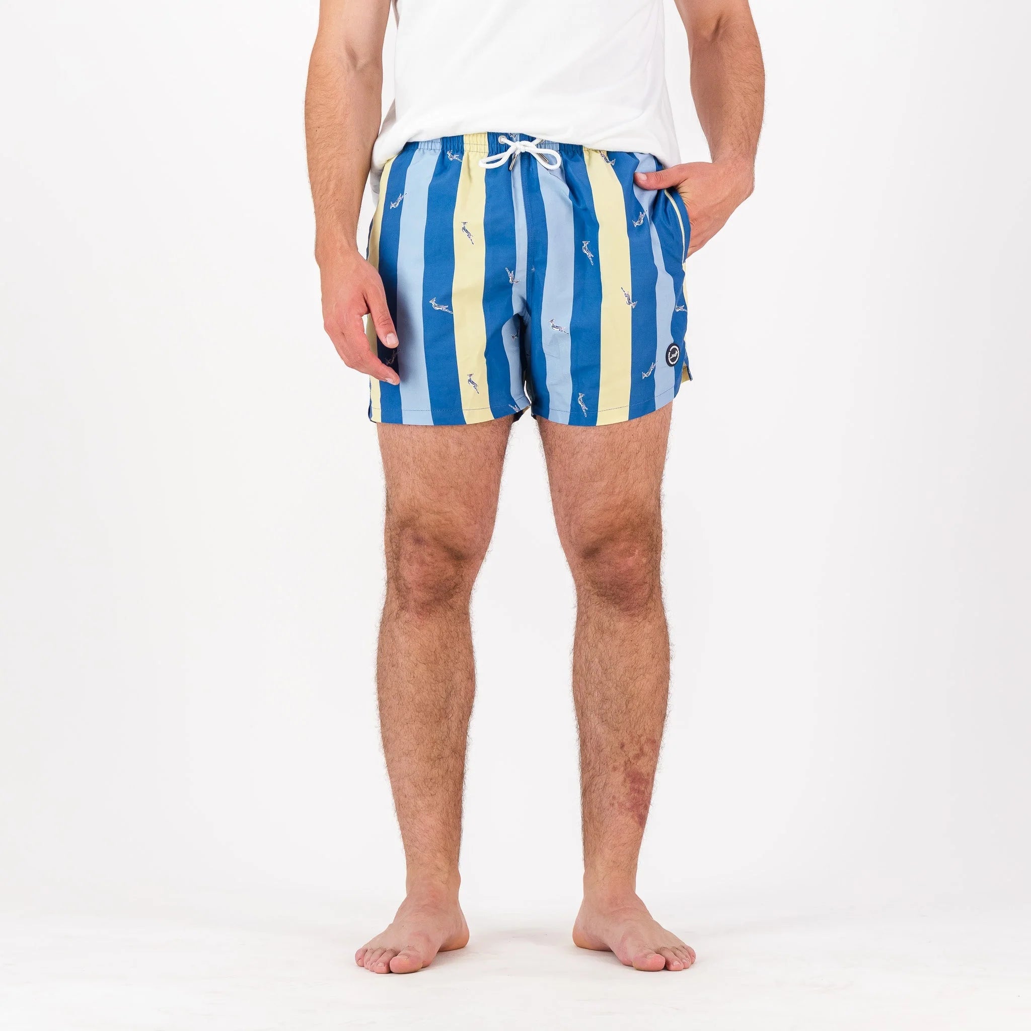 Springboks Candy Stripe SB Print Swim Shorts-Skyway