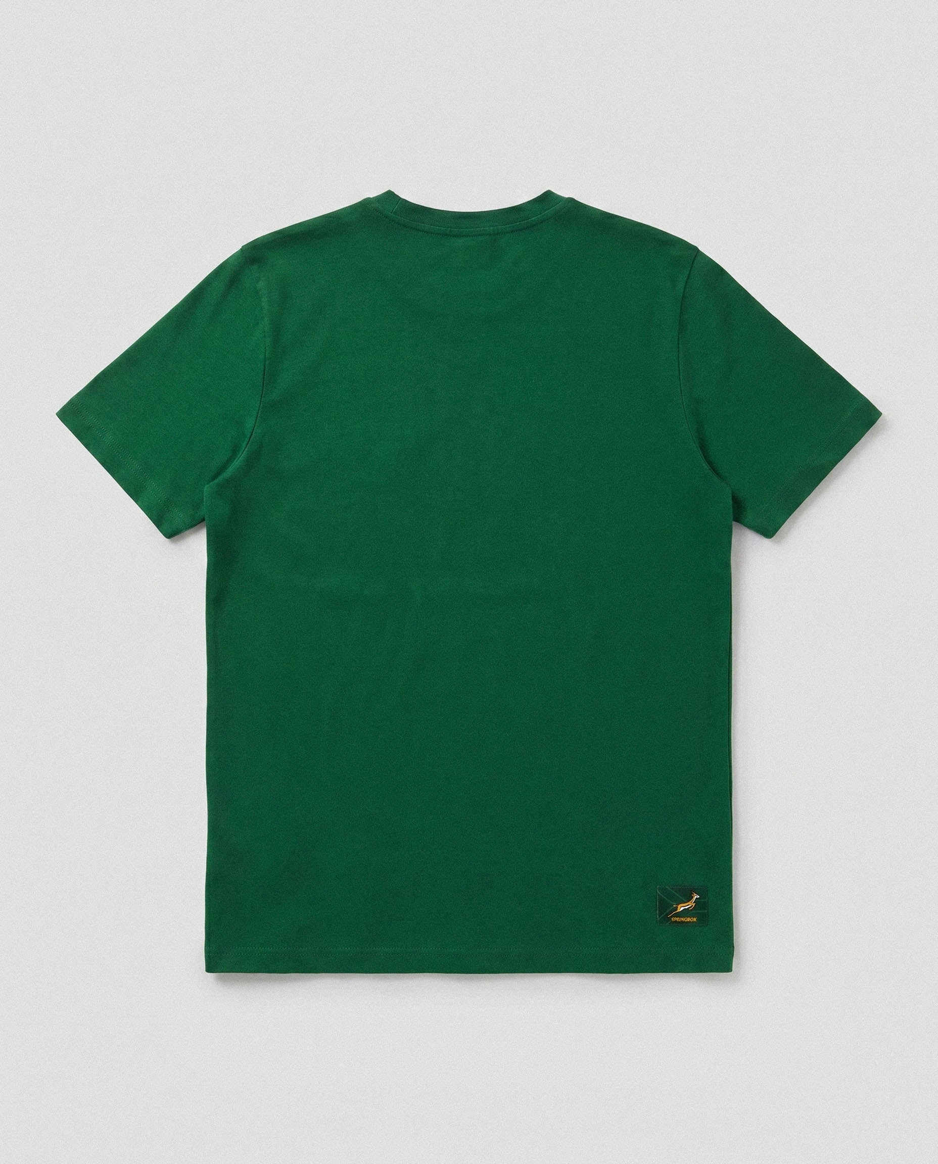 Springboks Nike Mens Gradient Logo Tee Gorge Green